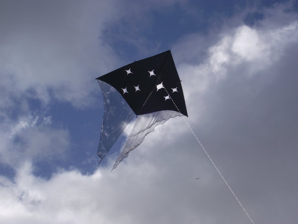 Te Iwa o Matariki Whānau Day