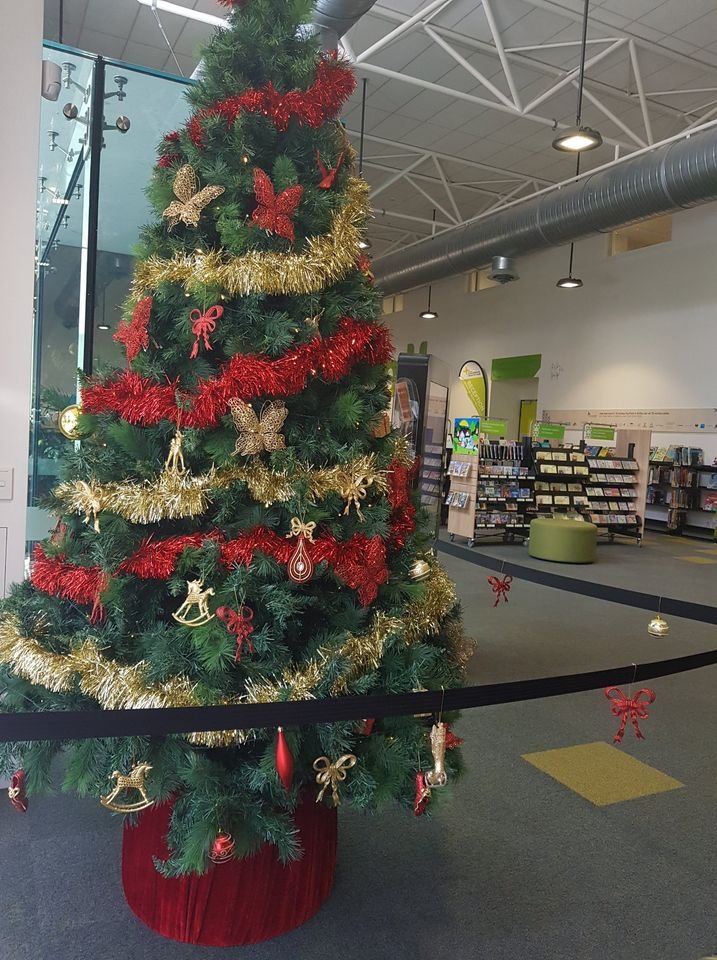 Rotorua Community Christmas Tree