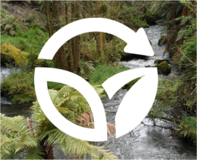 Working Together On A More Sustainable Rotorua